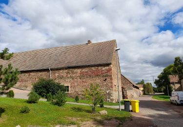 Tour Zu Fuß Wettin-Löbejün - Geologischer Wanderweg Wettin - Photo