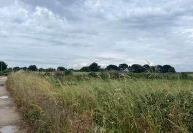 Tocht Stappen Quiberon - Tour De Locmaria - Photo