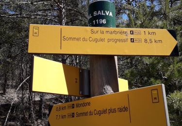 Trail Walking Guillestre - Roche Rousse et Rocher de l'aigle  à  Guillestre  - Photo