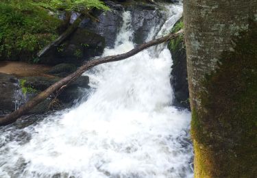 Trail Walking Ferrières-sur-Sichon - Grotte des fées y cascade  - Photo
