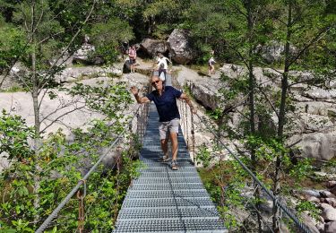 Tour Wandern Calenzana - Foret de Bonifatu, Corse - Photo