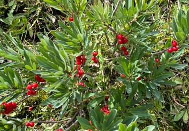 Tocht sport Nendaz - 20240906 boucle depuis barrage Cleuson - Photo