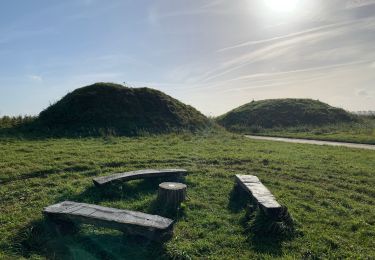 Trail Walking Gingelom - Les tumulus gallo-romains de Gingelom - Photo