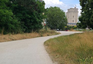 Tour Wandern Nogent-sur-Marne - 2023 06 11 balade decathlon 