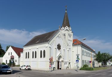 Trail On foot Gemeinde Wolkersdorf im Weinviertel - Wein- und Kulturwanderweg - Photo