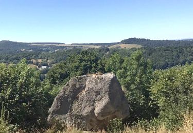 Tocht Stappen Rochefort-Montagne - Rochefort_Roche_Branlante - Photo