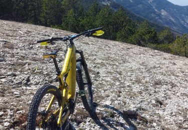 Trail Mountain bike Bédoin - Frache, crête de la Tune et Ventouret - Photo