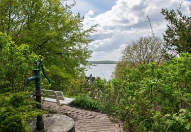 Tour Zu Fuß Malente - Große Holm-Route - Photo