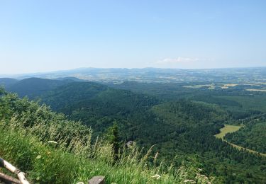 Tour Wandern Orcines - ascension puy de dôme départ col de ceyssat par chemin des muletiers 2019-07-03 - Photo