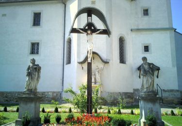 Tour Zu Fuß Sankt Peter am Ottersbach - 4-Berge-Weg - Photo