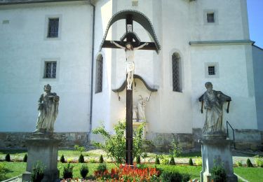 Excursión A pie Sankt Peter am Ottersbach - 4-Berge-Weg - Photo