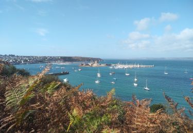 Tocht Stappen Camaret-sur-Mer - CAMARET - Photo