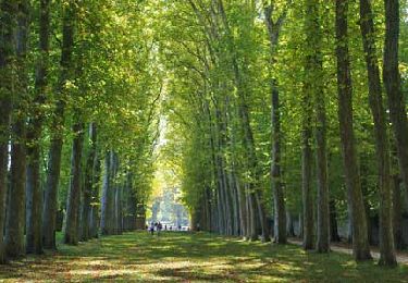 Randonnée V.T.C. Versailles - Versailles (Le parc à vélo) - Photo