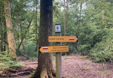 Trail Walking Trois-Fontaines-l'Abbaye - Trois Fontaines  - Photo