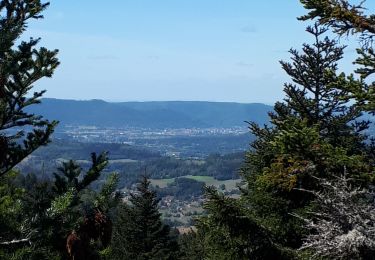 Randonnée Marche Wisembach - Col de Ste Marie-Chaume de Lusse - Photo