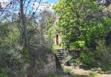 Trail Walking Saint-Chinian - rando st chinian notre dame de Nazareth chemin de croix et moulin  - Photo