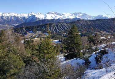 Tour Wandern Auzet - Col du Fanget - plateau d'Iroire - Négron - vallon du Passavous - Photo