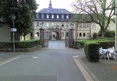 Percorso A piedi Birstein - Freihölzer Weg - Photo