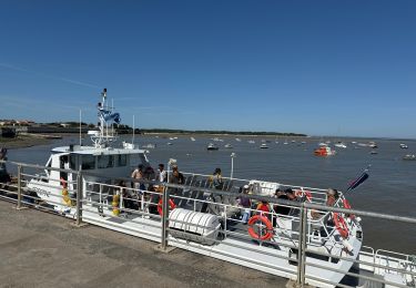 Percorso Bici ibrida Île-d'Aix - Aix, croisière + rando vélo  - Photo