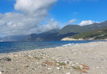 Trail Walking Patrimonio - sentier du littoral de St Florent à Punta di Saeta - Photo