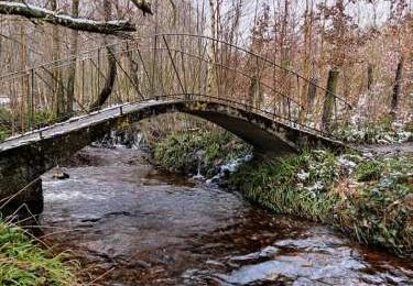 Trail Walking La Roche-en-Ardenne - Promenade de la « Baraque de Berismenil » - Photo