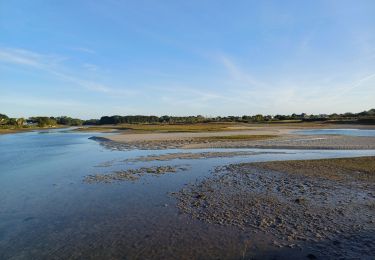 Tour Wandern Plobannalec-Lesconil - GR34  Lesconil. -- Pont l'abbé  - Photo