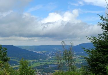 Tocht Stappen Vecoux - circuit vecoux depuis Parking les coucherons passant par 5 chalets - Photo