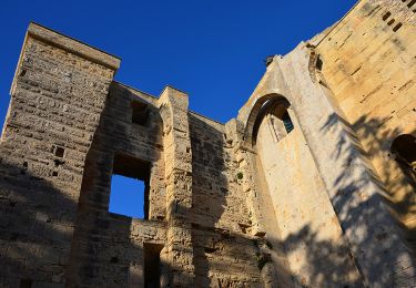Tour Wandern Palavas-les-Flots - Palavas-les-flots à Cathédrale St Pierre Maguelone et retour - Photo