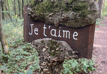 Tour Wandern Montigny-le-Tilleul - Balade coll du dimanche - Photo