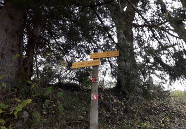 Percorso Marcia Le Haut-Bréda - moretan par la bourgeat blanche - Photo