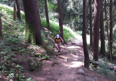 Trail Walking Chamonix-Mont-Blanc - 20200714 Cascade du Dard - Photo