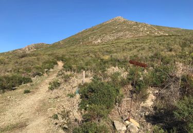 Trail Walking Olmeta-di-Tuda - Sentier non ornithologique chassé  - Photo