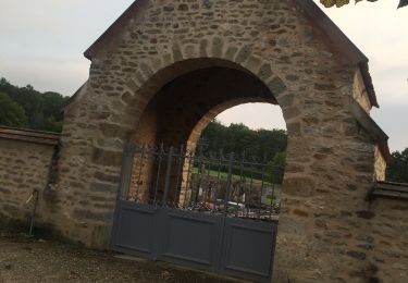 Percorso Marcia Vézelay - Étape 1 Vezelay Domecy sur cure - Photo