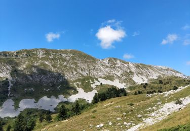 Tour Wandern Saint-Pierre-de-Chartreuse - La Grande Sûre - Photo