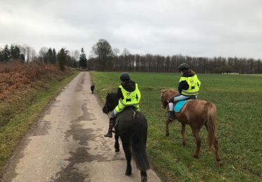 Tour Reiten Fougerolles-Saint-Valbert - Sarcenot 1h30 à pied ou 1h à poney  - Photo