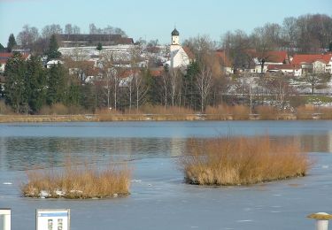 Excursión A pie  - Illerstauseerunde - Photo