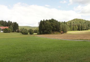 Randonnée A pied Hirschbach - Eschenfelden Rundweg 4 - Photo