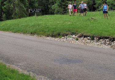 Tocht Stappen Apremont - apremont - Photo