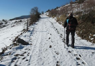 Randonnée Marche Linthal - Obersengern AN Petit Ballon - Photo