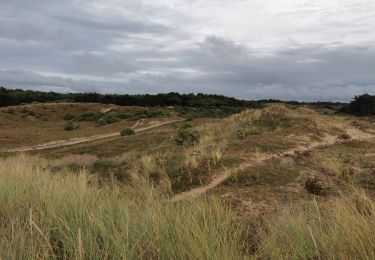 Tour Wandern Saint-Jean-de-Monts - Du chemin de la Mare à la plage des salins - Photo