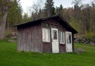 Tocht Te voet  - Szlak dookoła Szklarskiej Poręby - Photo