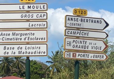 Tour Pfad Anse-Bertrand - La mahaudiere - Photo