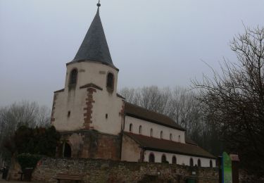 Tocht Stappen Molsheim - Molsheim bruche  - Photo