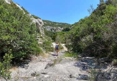 Trail Walking Poulx - La Baume depuis Proulx - Photo