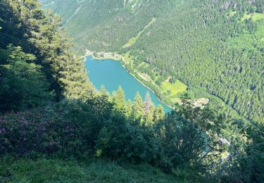 Randonnée Marche Morzine - Joue verte Montriond - Photo