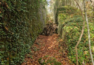 Tocht Stappen Hotton - Ny à travers bois et chemins de campagne - Photo