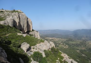 Randonnée A pied la Morera de Montsant - Brolles i vinyes. Scaladei - Photo
