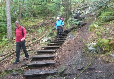 Trail Walking Fontainebleau - barbizon 3 août 2021  - Photo