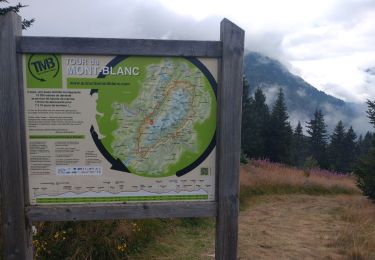 Tocht Stappen Les Contamines-Montjoie - TMB JOUR 7 - CONTAMINES MONTJOIS / LES HOUCHES - Photo