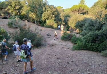 Excursión Senderismo Roquebrune-sur-Argens - La Bouverie - Photo